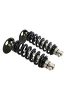 RideTech HQ Front Coilovers for 1999-2006 Silverado / Sierra 2WD with Strong Arms